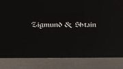 Духовой шкаф Zigmund Shtain EN 132.921 S фото 4