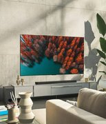 Телевизор LG OLED65G2 фото 3