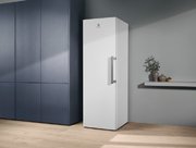 Морозильная камера Электролюкс RUT5NF28W1 фото 3 Морозильная камера Electrolux RUT5NF28W1 фото 3