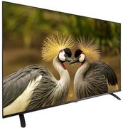 Телевизор Schaub Lorenz SLT55SU7500 фото