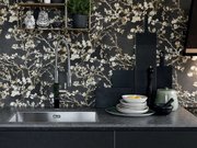 Мойка Franke BXX 210-68 сталь фото 2