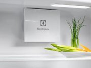 Встраиваемый холодильник Электролюкс LNG7TE18S фото 4 Встраиваемый холодильник Electrolux LNG7TE18S фото 4