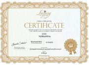 Винный шкаф Dunavox DAUF-32.83SS фото 3
