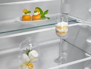 Встраиваемый холодильник Electrolux ENT6ME19S фото 4