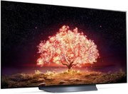 Телевизор LG OLED55B1RLA фото 2