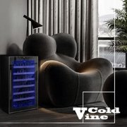 Винный шкаф Cold Vine C28-TBF1 фото 3