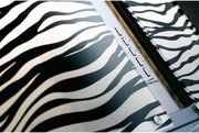 Вытяжка Falmec Mirabilia 67 Zebra Vetro (800) ECP фото 2