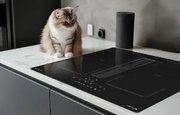 Индукционная варочная панель Zigmund Shtain CIS 303.60 BX с вытяжкой фото 4