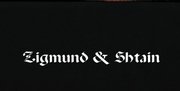 Духовой шкаф Zigmund Shtain EN 121.921 B фото 4