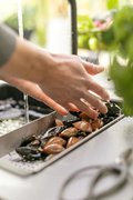 Коландер для кухонной мойки Франке 112.0066.060 фото 4 Коландер для кухонной мойки Franke 112.0066.060 фото 4