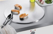 Тепан Miele CT 400 P фото 2