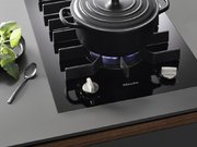 Элемент панели SmartLine Miele CS7102-1 FL фото 4
