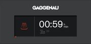 Посудомоечная машина Gaggenau DI261112 фото 4