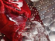 Стиральная машина Miele WDD030 фото 4