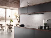 Встраиваемая вытяжка Miele DAS 2920 черный матовый фото 3