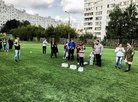 Фото футбол
