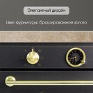 Электрический духовой шкаф Zigmund Shtain E 166 B