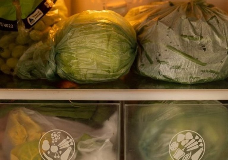 Можно ли, как и сколько хранить капусту в холодильнике Можно ли, как и сколько хранить капусту в холодильнике