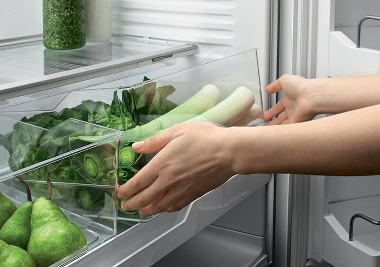 Как хранить зелень в холодильнике, чтобы она оставалась свежей Как хранить зелень в холодильнике, чтобы она оставалась свежей