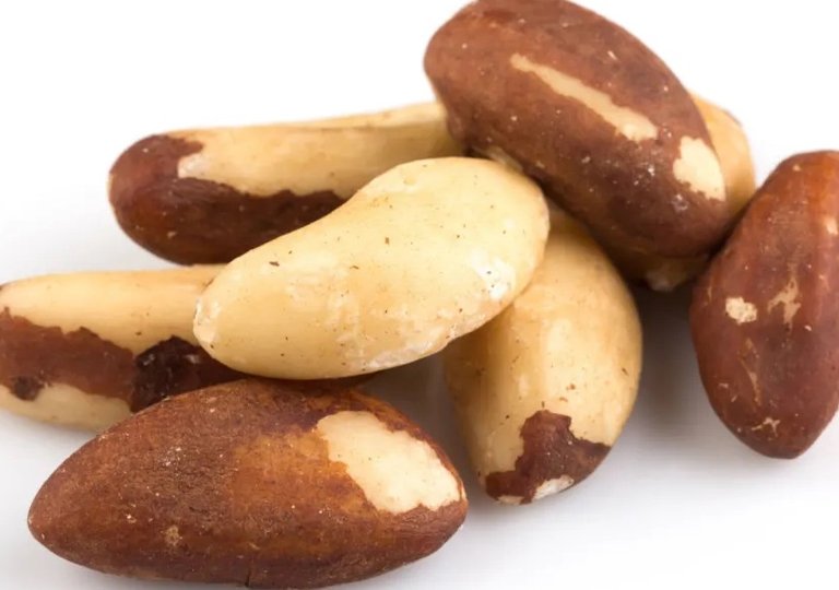 Можно ли, как и сколько хранить бразильский орех в холодильнике? Можно ли, как и сколько хранить бразильский орех в холодильнике?