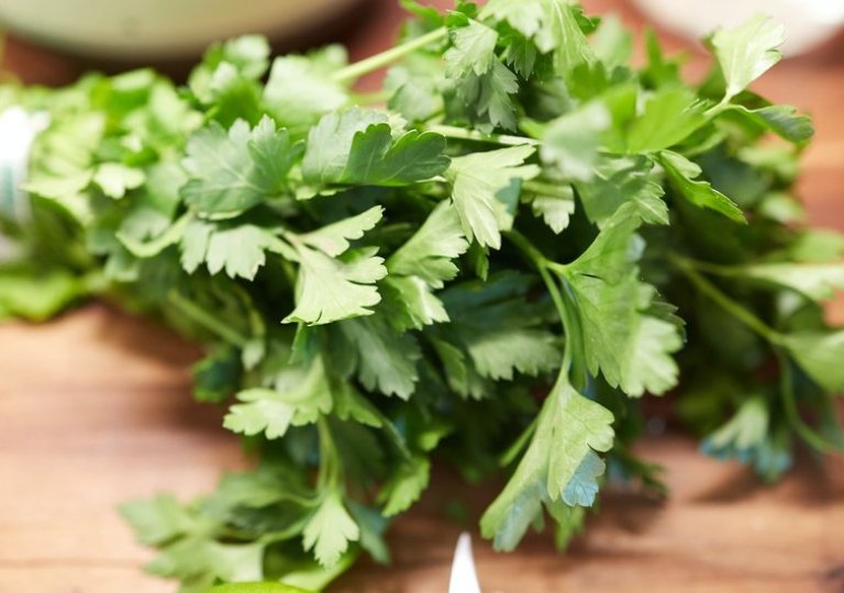 Можно ли, как и сколько хранить петрушку в холодильнике Можно ли, как и сколько хранить петрушку в холодильнике
