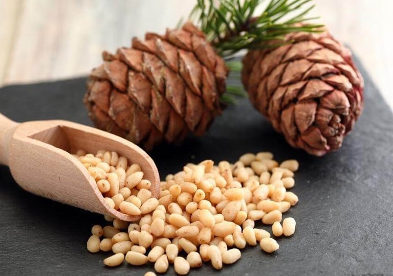 Можно ли, как и сколько хранить кедровые орешки в холодильнике? Можно ли, как и сколько хранить кедровые орешки в холодильнике?