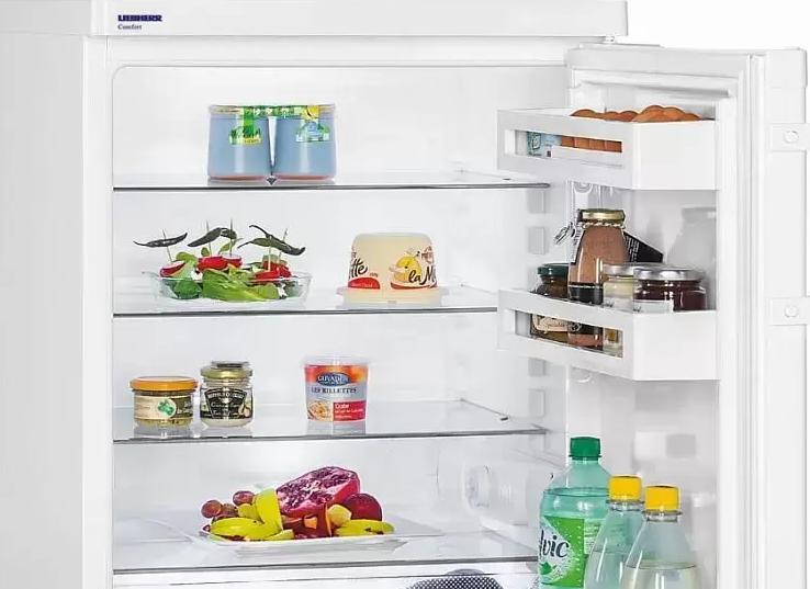 Обзор холодильника Liebherr T 1710 Comfort Обзор холодильника Liebherr T 1710 Comfort